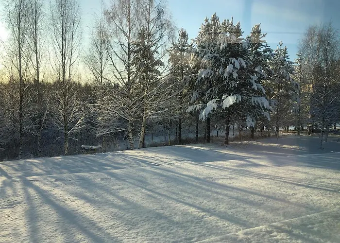 Luxury Villa Vuopajanranta